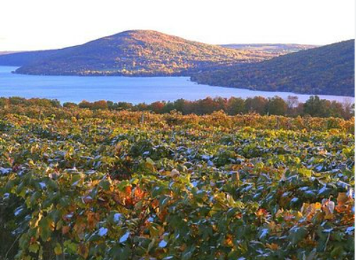 Finger Lakes